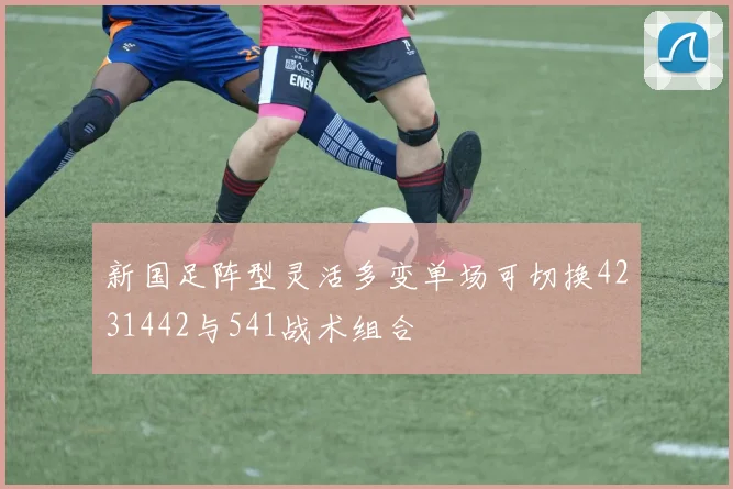 新国足阵型灵活多变单场可切换4231442与541战术组合